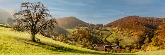 VORSORGE UND NACHFOLGE